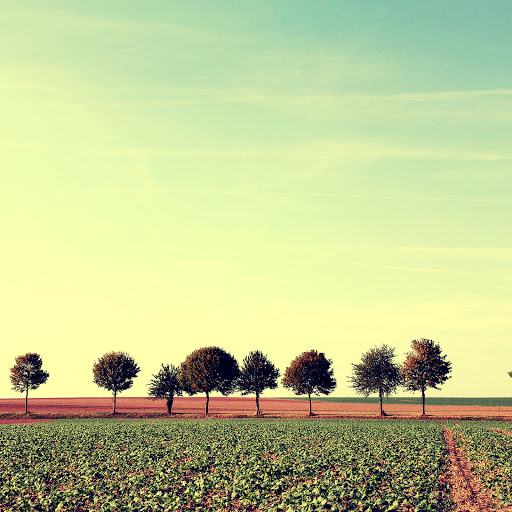 Hd-136322-ascw136322