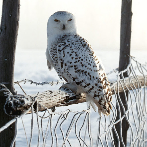 Hd-178729-ascw178729