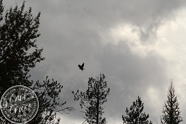 [2011-10-11-15-00-10-ccedit%255B5%255D.jpg]