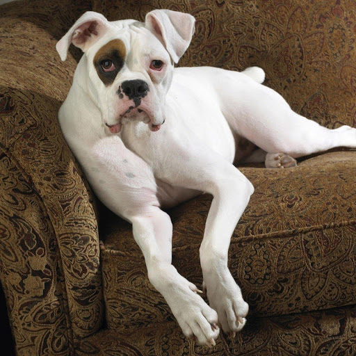 Hd-141917-ascw141917