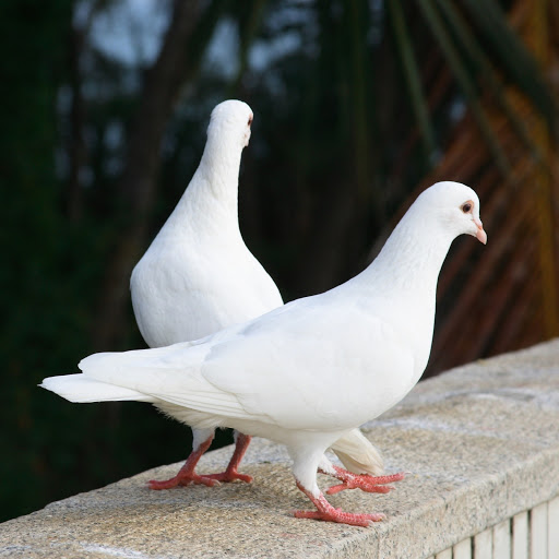 Hd-179104-ascw179104