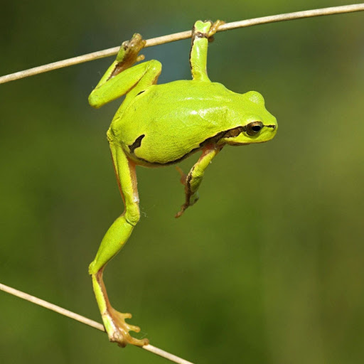 Hd-148056-ascw148056