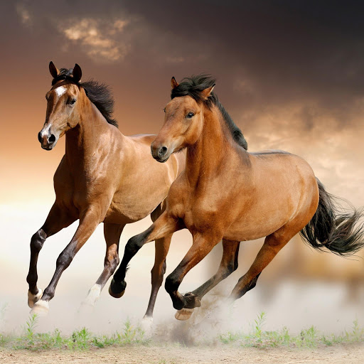 Hd-152071-ascw152071