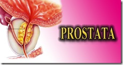 6PROSTATA