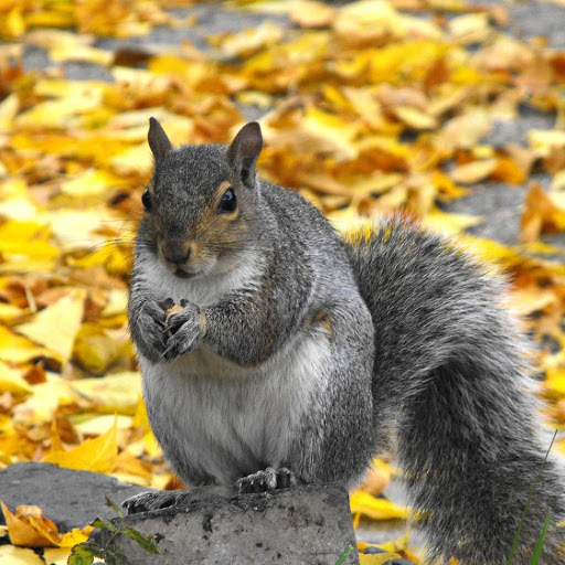 Hd-182295-ascw182295