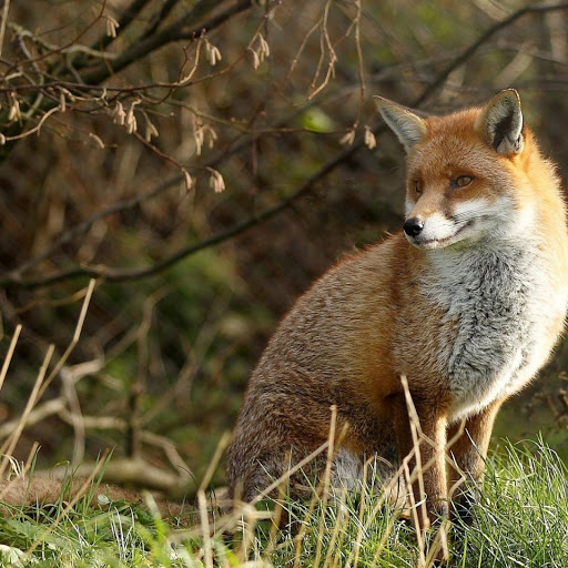 Hd-142980-ascw142980