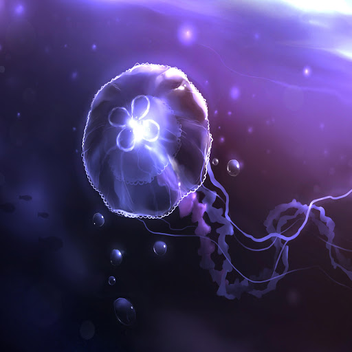 Hd-184614-ascw184614