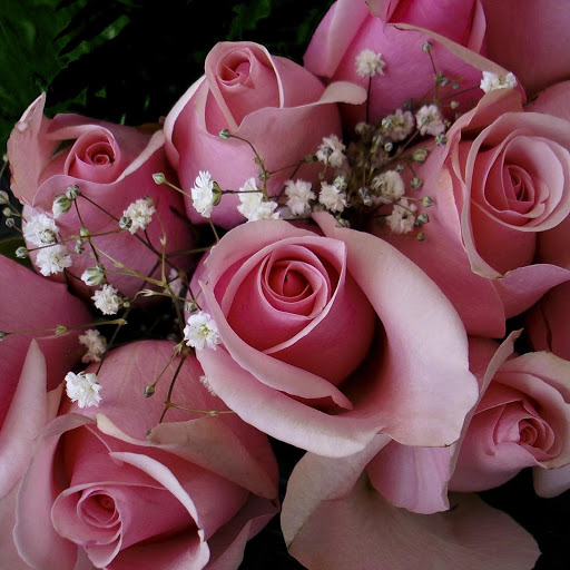 Hd-149258-ascw149258