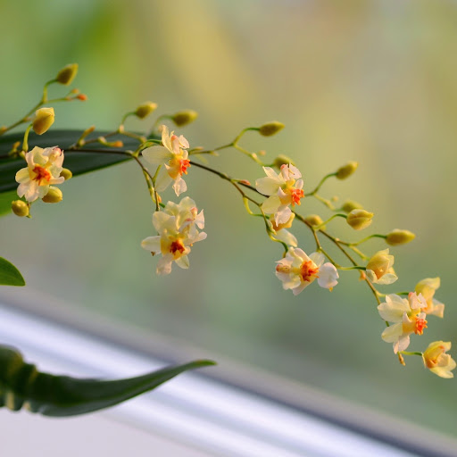 Hd-164347-ascw164347