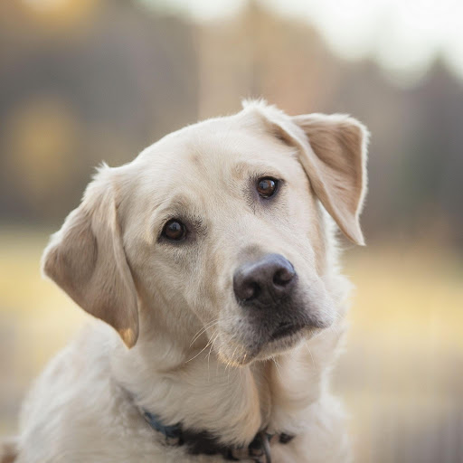 Hd-154797-ascw154797