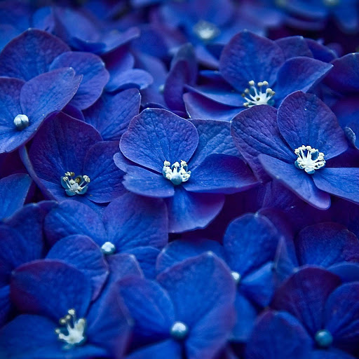 Hd-160855-ascw160855