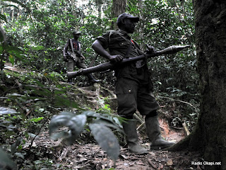 Des rebelles des FDLR dans la forêt de Pinga dans l’Est de la RDC, le 06/02/2009. Radio Okapi.net