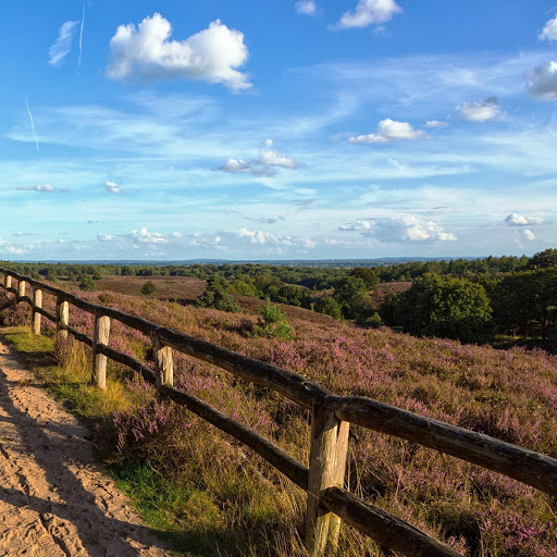 Hd-148687-ascw148687