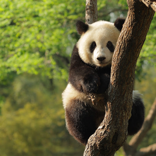 Hd-140574-ascw140574