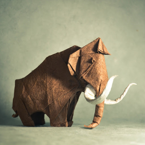 Hd-137101-ascw137101