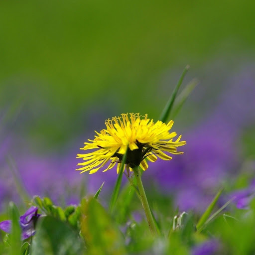 Hd-132587-ascw132587