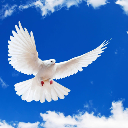 Hd-140719-ascw140719