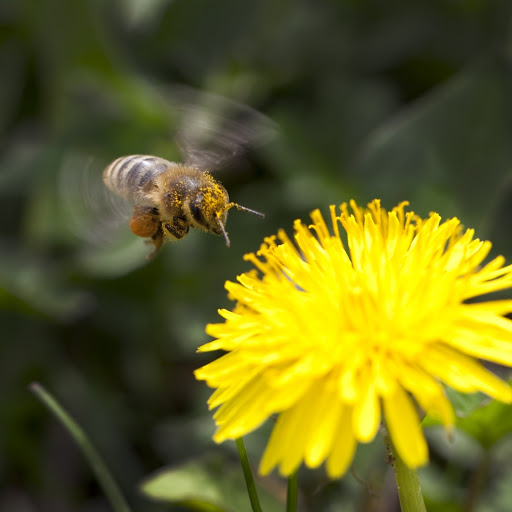 Hd-133433-ascw133433