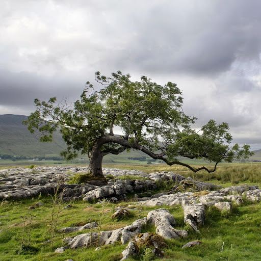 Hd-148327-ascw148327