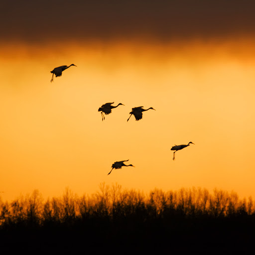 Hd-158213-ascw158213