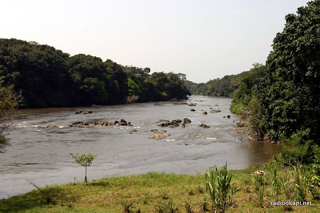 La rivière Epulu dans la réserve de faune à Okapi, en Ituri 2005.