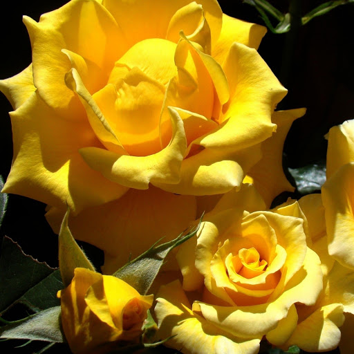 Hd-177227-ascw177227