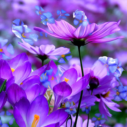 Hd-131161-ascw131161