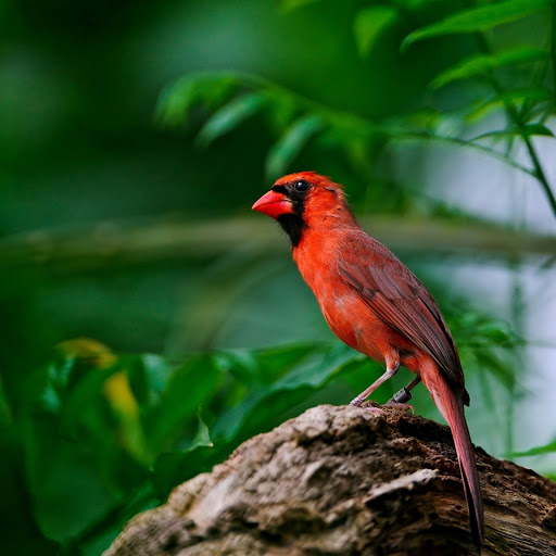 Hd-152857-ascw152857