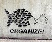 "The front line is everywhere, there be no shelter here." Rage Against the Machine