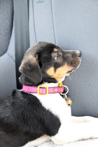 [IMG_0168%255B4%255D.jpg]