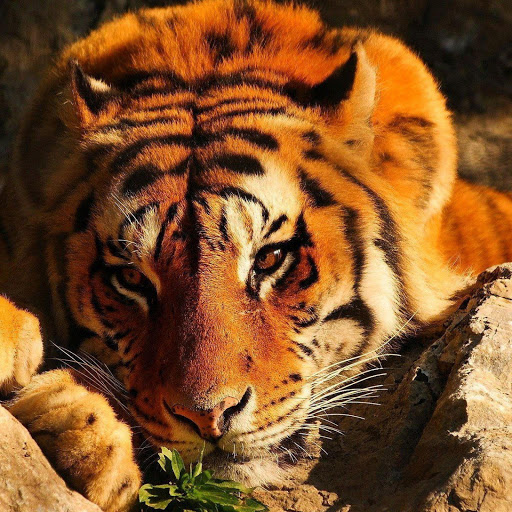 Hd-164923-ascw164923