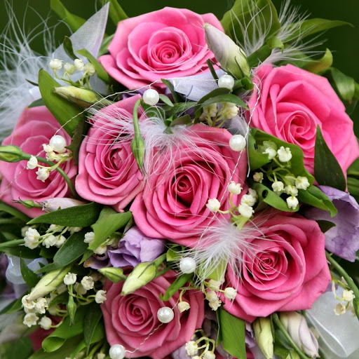 Hd-146413-ascw146413