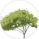 Goondiwindi Family Dental