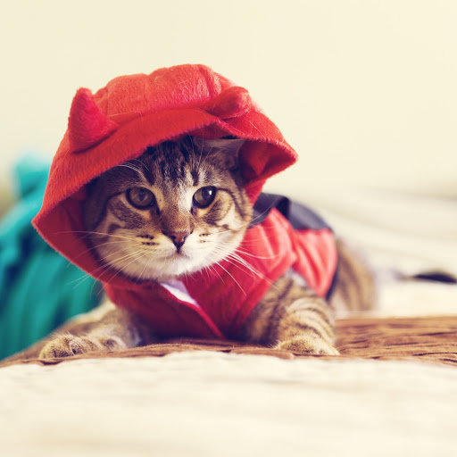 Hd-176024-ascw176024