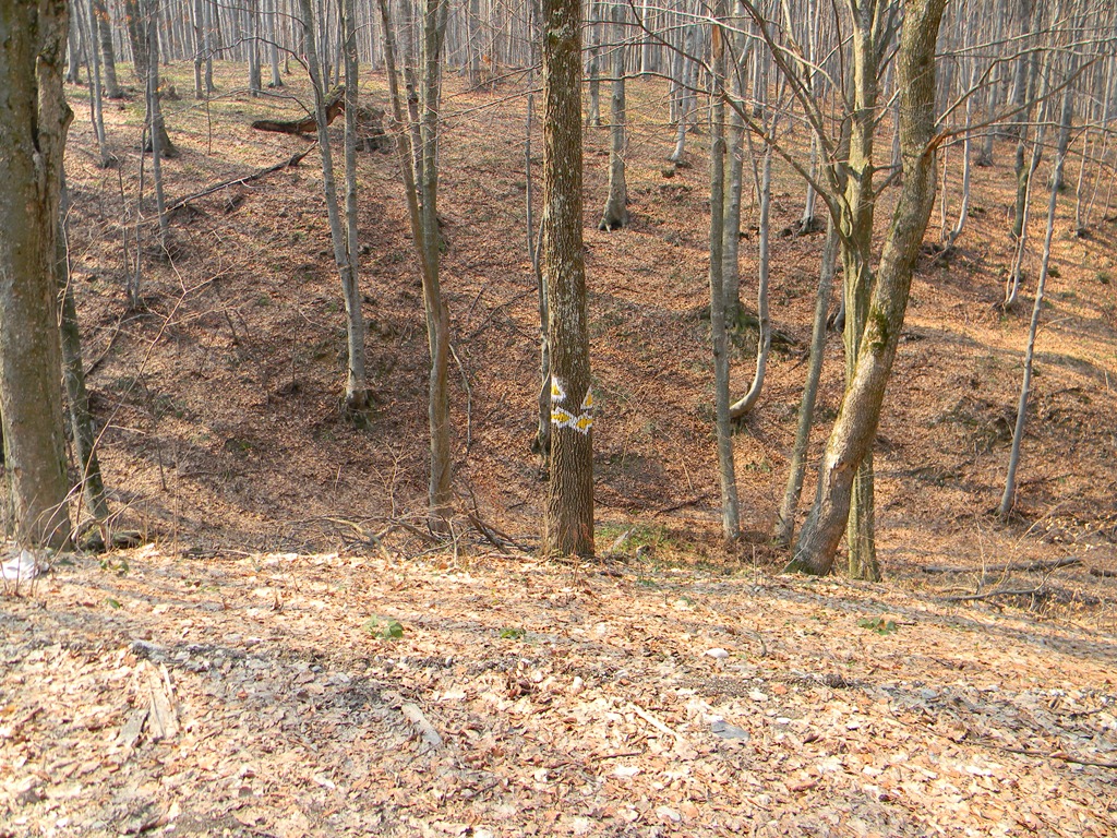 [DSCN76023.jpg]
