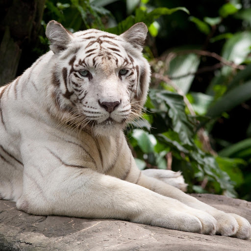 Hd-183981-ascw183981