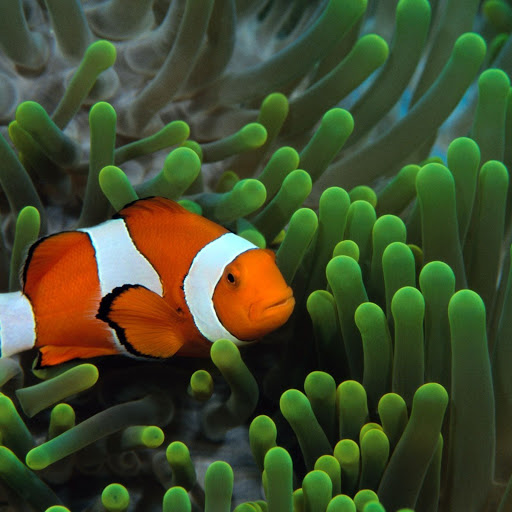 Hd-148053-ascw148053