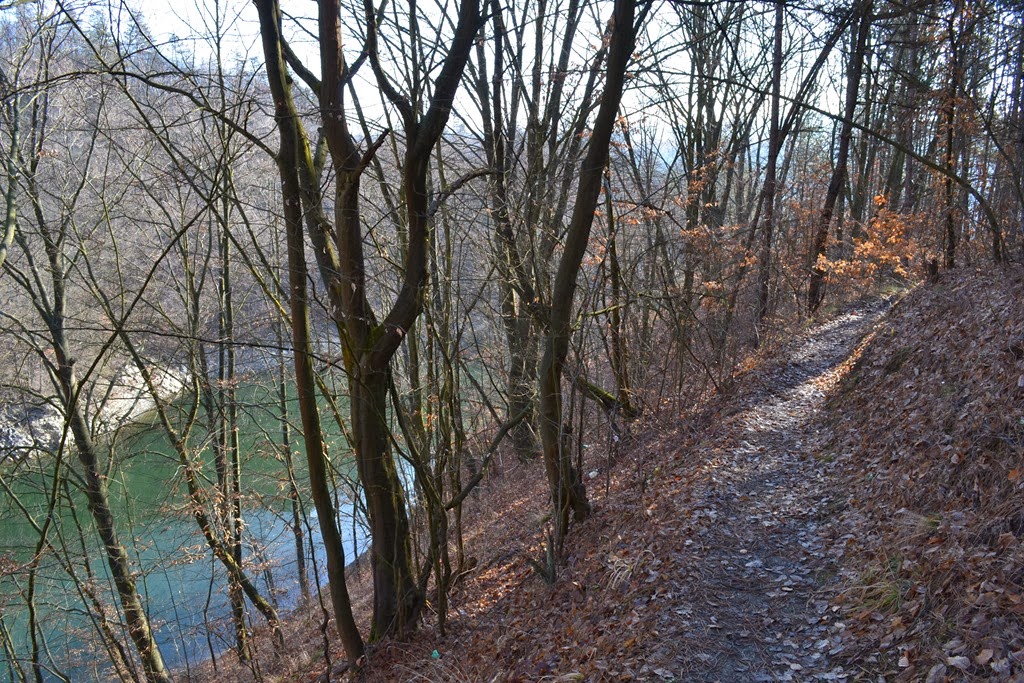 [DSC_2982%255B3%255D.jpg]