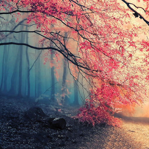 Hd-173252-ascw173252