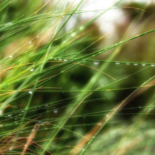 Hd-150228-ascw150228