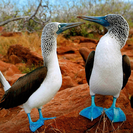 Hd-147026-ascw147026