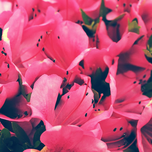 Hd-136409-ascw136409