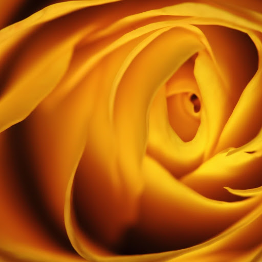 Hd-155031-ascw155031