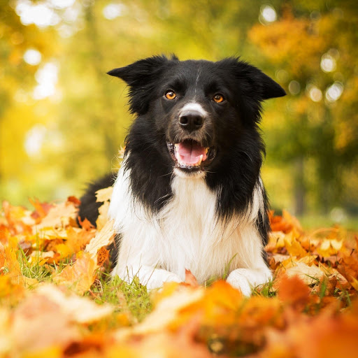 Hd-157625-ascw157625