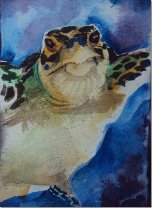 turtleinwatercolors