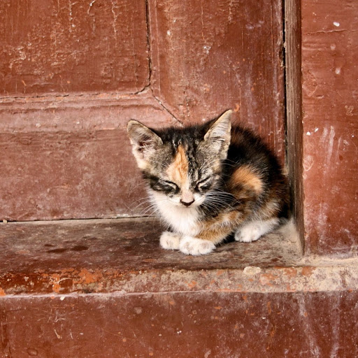 Hd-137718-ascw137718