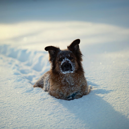 Hd-134679-ascw134679