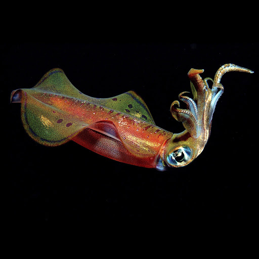 Hd-147041-ascw147041