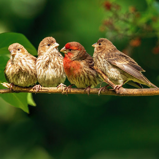 Hd-145892-ascw145892