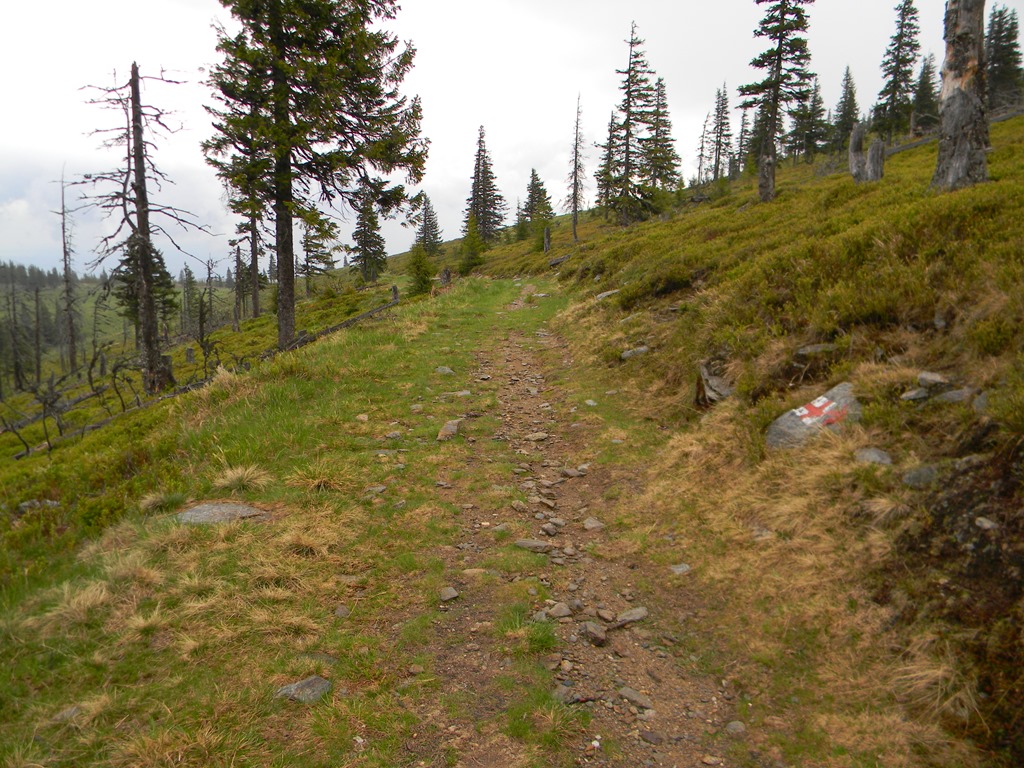 [DSCN04593.jpg]